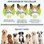 Flea and Tick Collar
