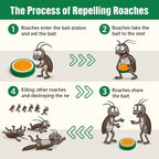 Cockroach Killer Gel for Kitchen, Bathroom, Cabinet (Pack of 2 - 12 Pcs)